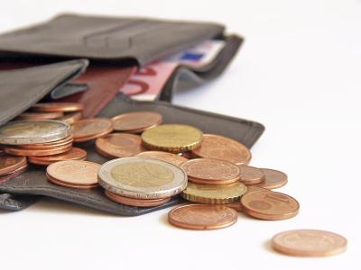 Geldb&ouml;rse mit Euroscheinen und M&uuml;nzen